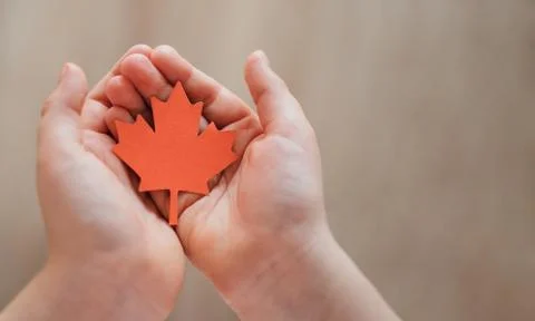 Maple Leaf in children's hands Canada Day place for text Stock Photos