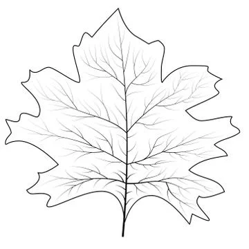 Maple leaf for concept design. September fall. Decoration element. Autumn bac Stock Illustration