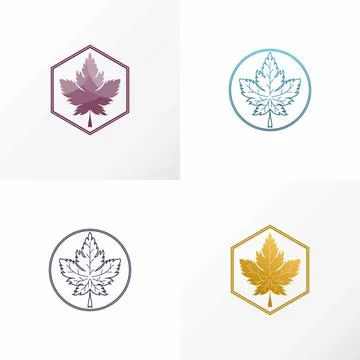 Maple leaf design with unique shapes and coloring. Stock-Illustration