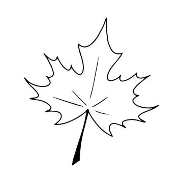 Maple leaf doodle. Isolated on white background. Stock Illustration