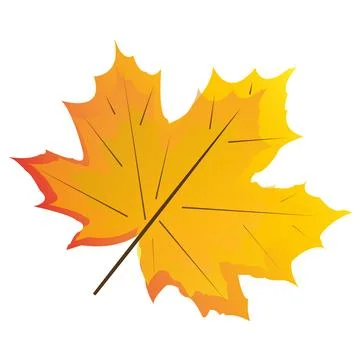 Maple leaf, fall Illustrazione stock