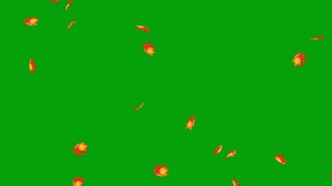 Maple leaf fall motion graphics with green screen background Stock Footage 124582179