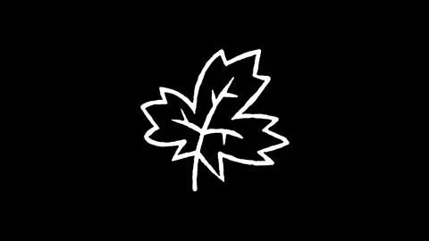 Maple Leaf Fall Season Icon Vídeo Stock 345591209