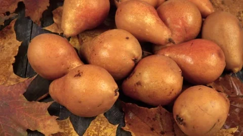 Maple leaf falls on a ripe fresh Bosc pear lying on a wooden board  Vídeo Stock 319960721