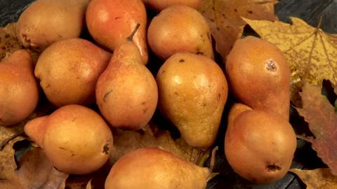 Maple leaf falls on a ripe fresh Bosc pear lying on a wooden board  Vídeo Stock 319960726