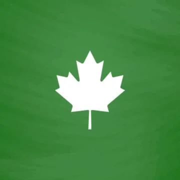 Maple leaf flat icon 库存插图