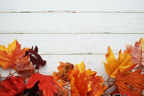 Maple leaf flat lay with space copy on wooden background Stock Photos