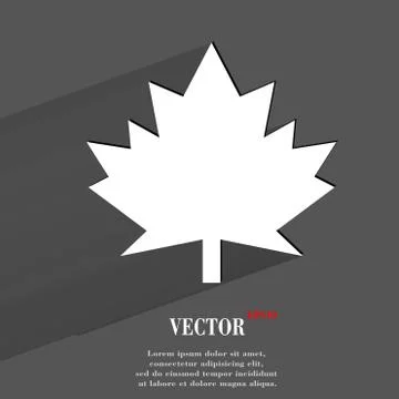 Maple Leaf. Flat modern web button with long shadow and space for your text イラスト素材