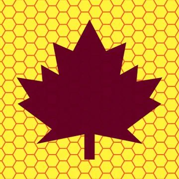 Maple Leaf. Flat modern web button and space for your text Illustrazione stock
