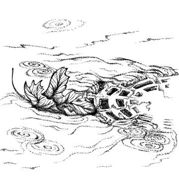 Maple Leaf floating in the drain Stock Illustration