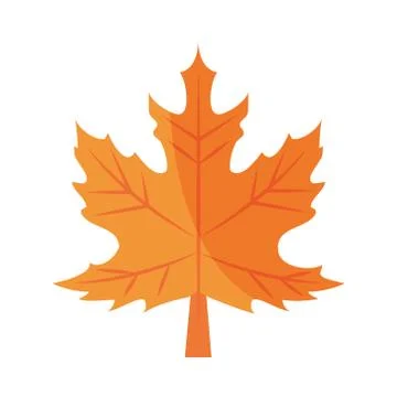 Maple leaf foliage autumn flat icon with shadow イラスト素材