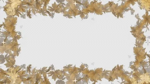 Maple Leaf fram display - 4k - alpha Stock Footage 257860192
