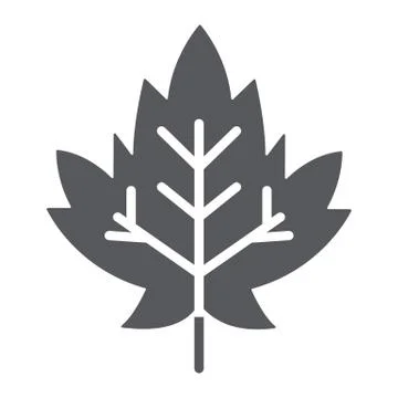 Maple leaf glyph icon, foliage and nature, autumn leaf sign, vector graphics, a イラスト素材