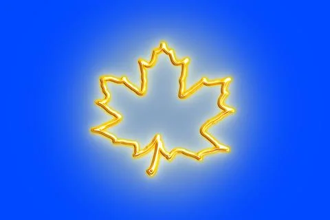 Maple leaf of gold on a blue background.Isolate. Stock Illustration