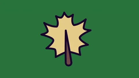 A maple leaf on green background and with knife in the middle pencil top of it Video stock 335091966