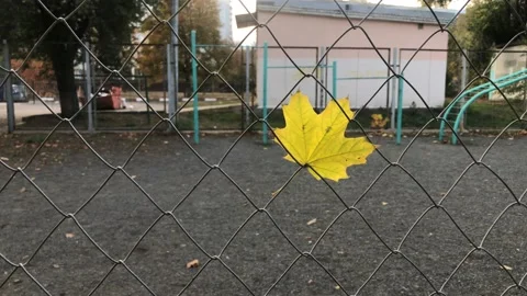 A maple leaf hangs on a fence mesh. The wind blows away the leaf. Stock Footage 141983443