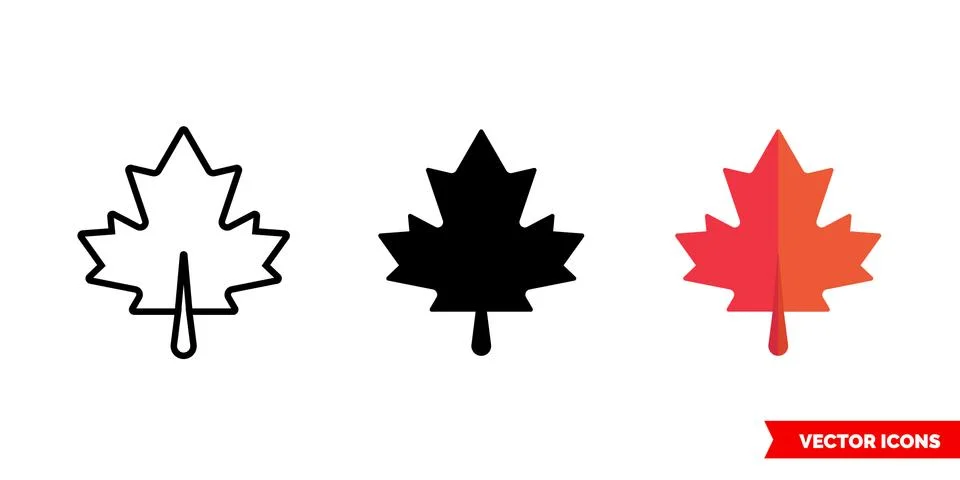 Maple leaf icon of 3 types. Isolated vector sign symbol. Stock Illustration