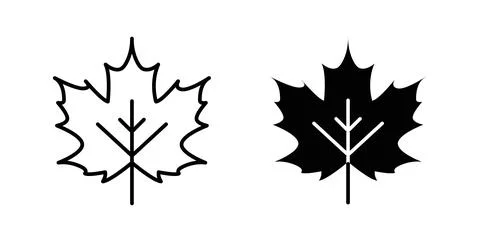 Maple leaf icon in black and white. vector icon pack for websites イラスト素材