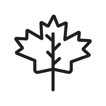 Maple leaf icon Black line art vector Stock Illustration
