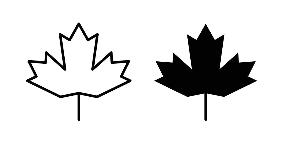 Maple leaf icon black vector isolated on white イラスト素材