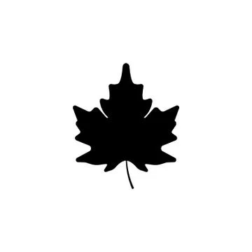 Maple leaf icon black on white background Stock Illustration