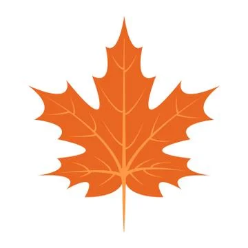 Maple leaf icon, flat style Stock Illustration