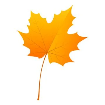 Maple leaf icon, flat style イラスト素材