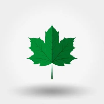 Maple leaf icon. Green Stock Illustration