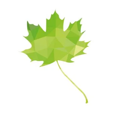 Maple leaf icon Stock Illustration