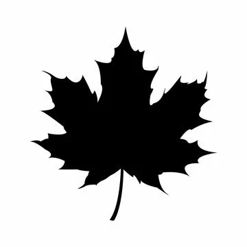 Maple leaf icon イラスト素材