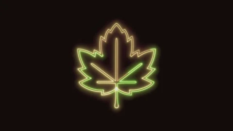 Maple Leaf Icon Neon Seamless Loop 4K (Black Background) Stock Footage 310358987