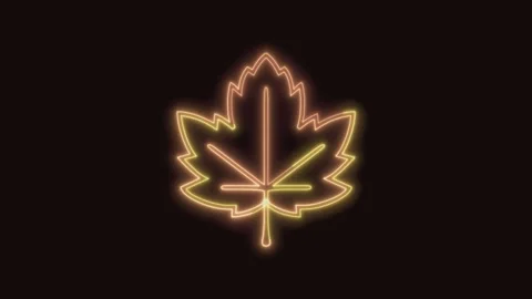 Maple Leaf Icon Neon Seamless Loop with Black Background 4K Stock Footage 311431195