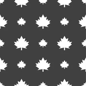 Maple leaf icon. Seamless pattern on a gray background. イラスト素材