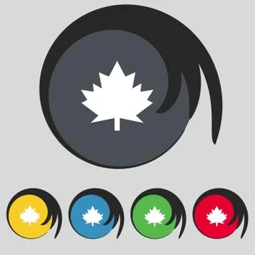 Maple leaf icon. Set colourful buttons. Vector Stock Illustration