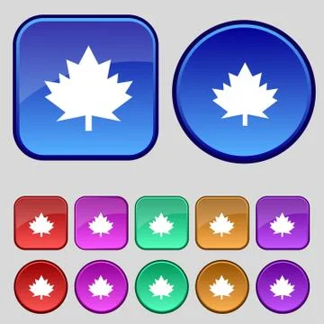 Maple leaf icon. Set colourful buttons. Vector Illustrazione stock