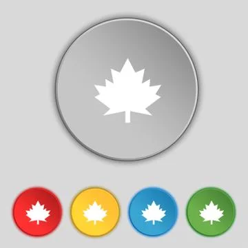 Maple leaf icon. Set colourful buttons. Vector 스톡 일러스트