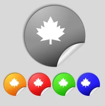 Maple leaf icon. Set colourful buttons. Vector Stock Illustration