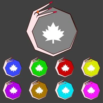 Maple leaf icon. Set colourful buttons. Vector Stock Illustration
