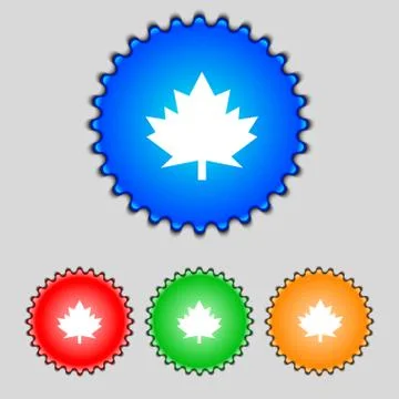 Maple leaf icon. Set colourful buttons. イラスト素材