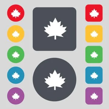 Maple leaf icon. Set colourful buttons. Stockillustratie