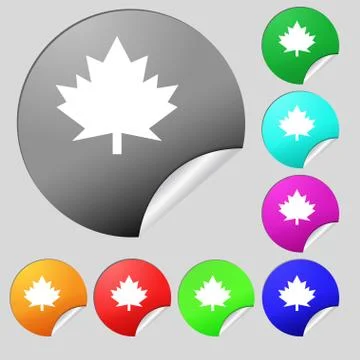 Maple leaf icon. Set of eight multi colored round buttons, stickers. Vector Stock Illustration