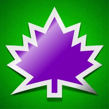 Maple leaf icon sign. Symbol chic colored sticky label on green background. イラスト素材