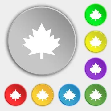 Maple leaf icon. Symbols on eight flat buttons. イラスト素材