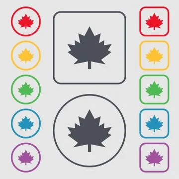 Maple leaf icon. Symbols on the Round and square buttons with frame. Stock Illustration