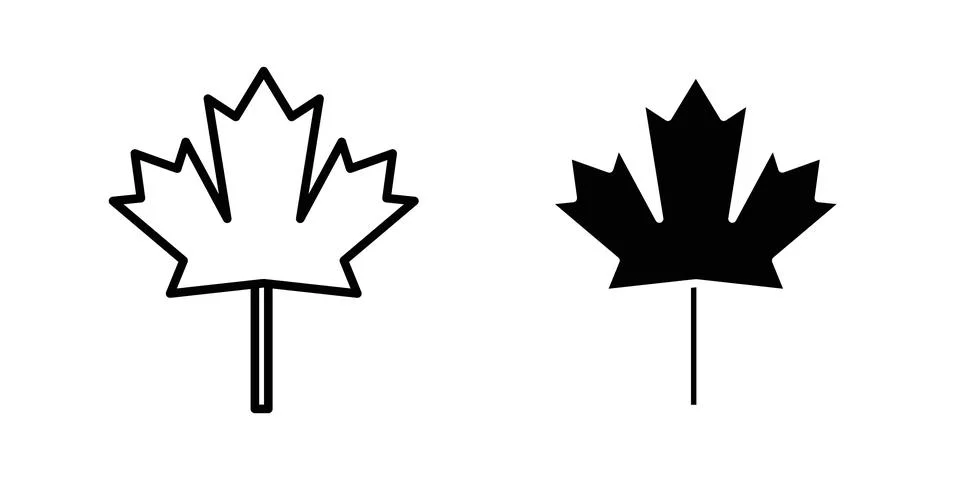 Maple leaf icon vector design illustrations 库存插图