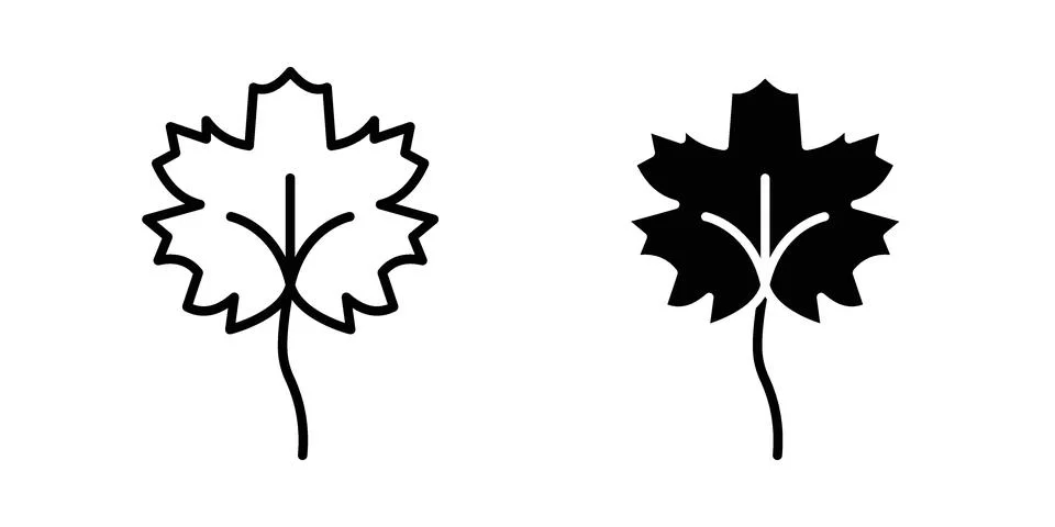 Maple leaf icon vector design. EPS10 Stock-Illustration