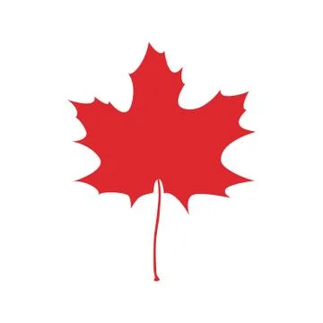 Maple leaf  icon vector illustration Stock Illustration