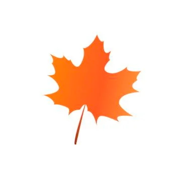 Maple leaf icon vector isolated on white backgrpund Stock Illustration