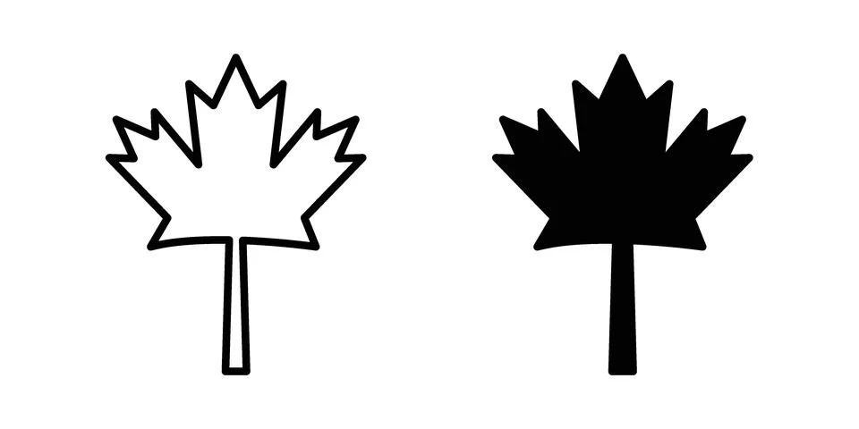 Maple leaf icon vectors. Illustrations in black Illustrazione stock