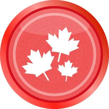 Maple leaf icon on web button . Flat sign isolated on white background. Maple Illustrazione stock